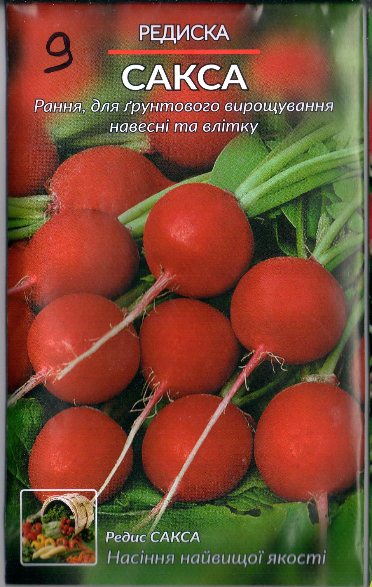 Редис "Сакса"