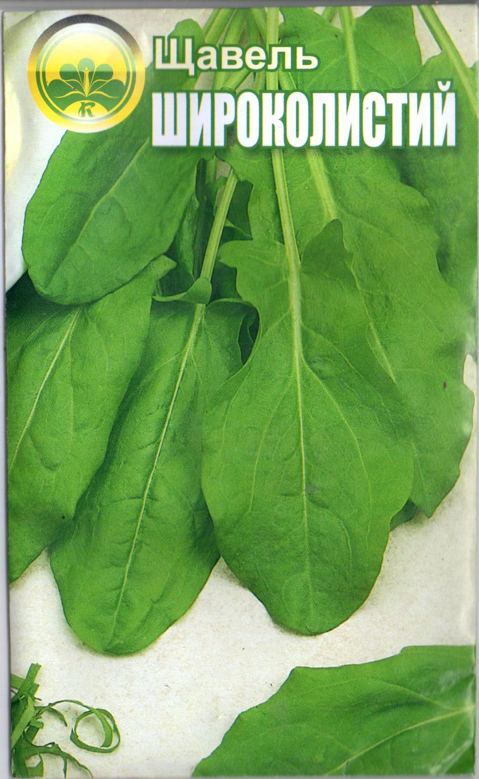 Щавель "Широколистный"