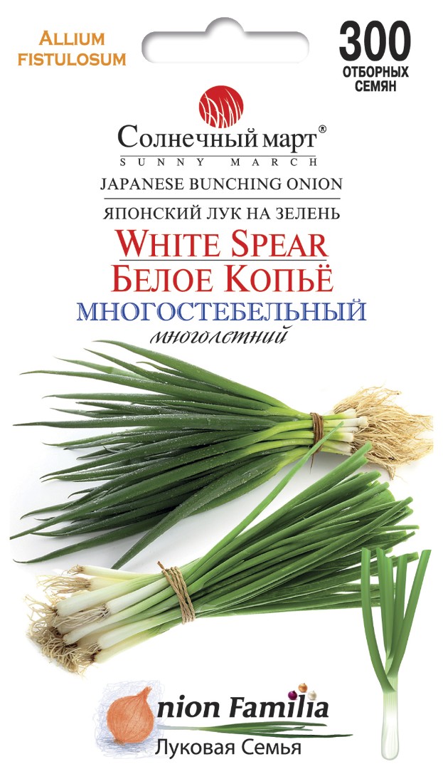 Лук "Белое копьё" 300шт