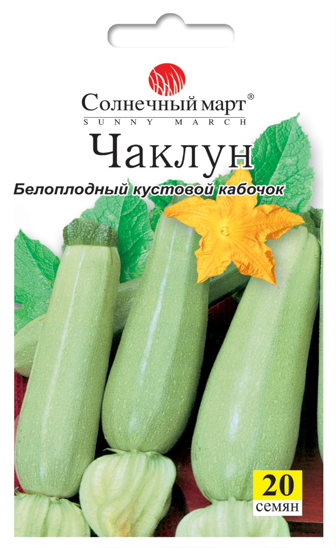 Кабачок "Чаклун"