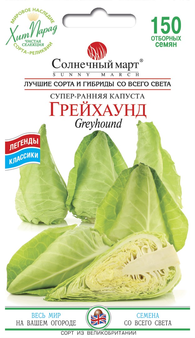 Капуста ранняя "Грейхаунд"