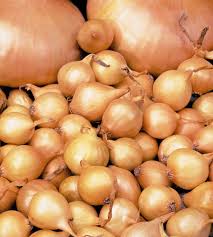 Тыква мускатная Дыво