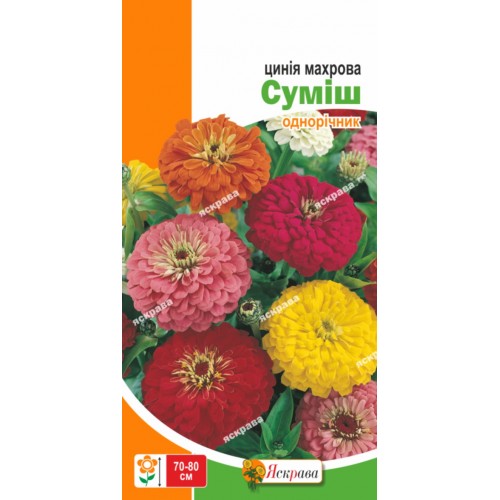 Цыния махровая смесь